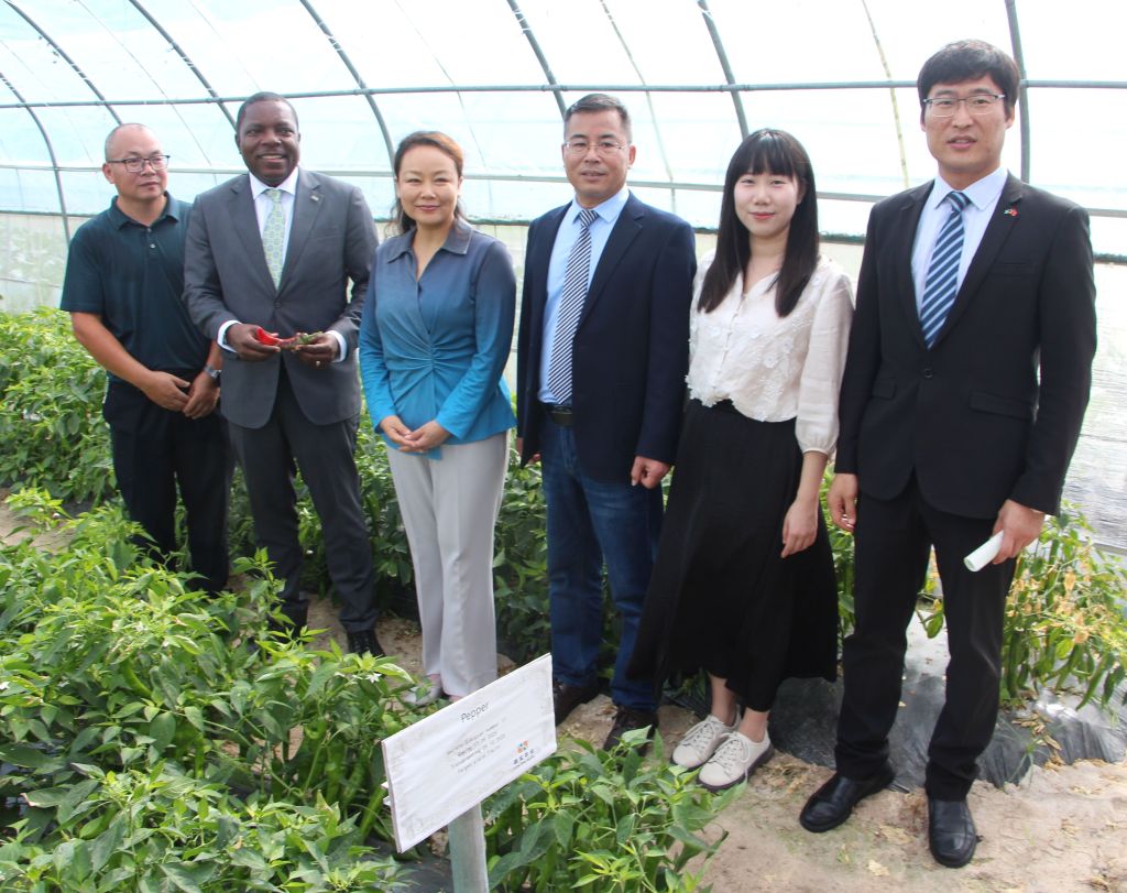 Hunan Demonstration Farm Officially Handed Over to the Bahamian Government
