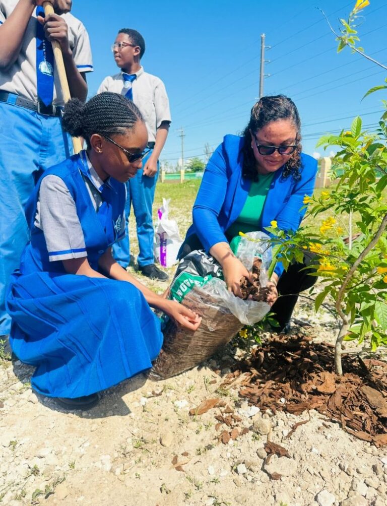 Bahamas Forestry Unit Plants Yellow Elder Trees at Holmes Rock Junior High School, Marking Forestry Awareness Week, ‘Forests and Economies’