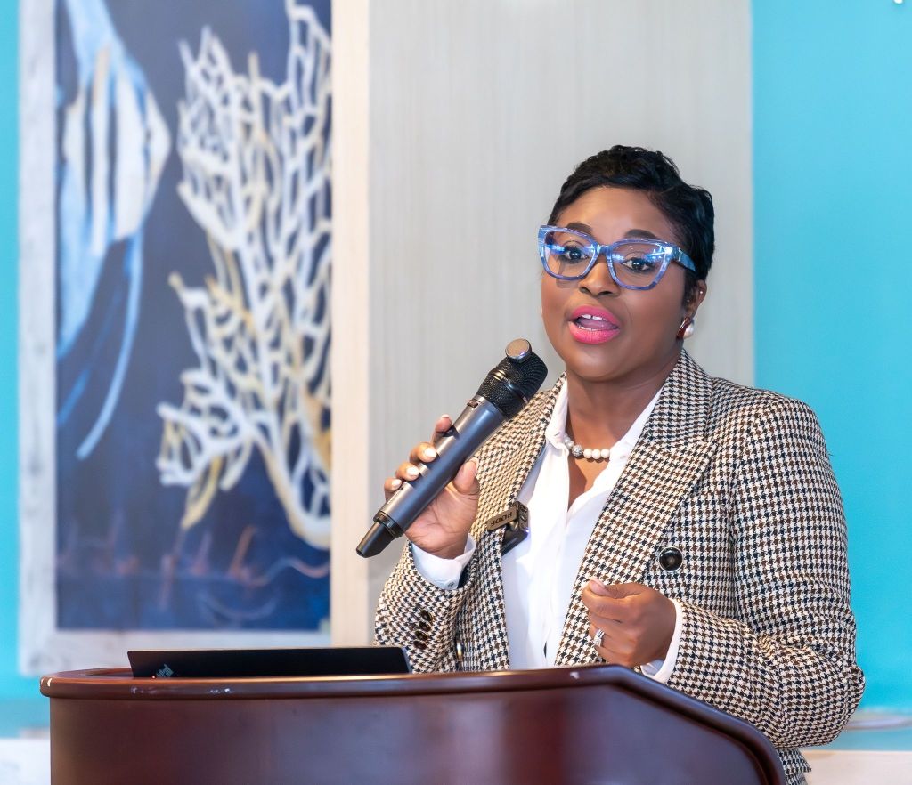 Aviation leaders have first meeting with their new minister, Hon. JoBeth Coleby-Davis