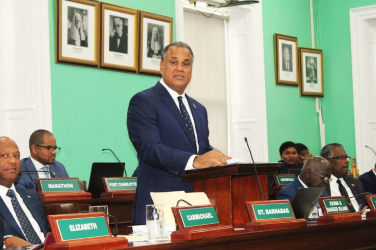 Min. Halkitis: ‘A Budget that Builds on Progress’ theme reflects on the past and future of The Bahamas