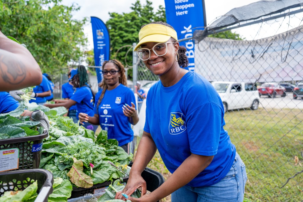 RBC staff join in St James’ Road community garden harvest in partnership with Agricultural Development Organization