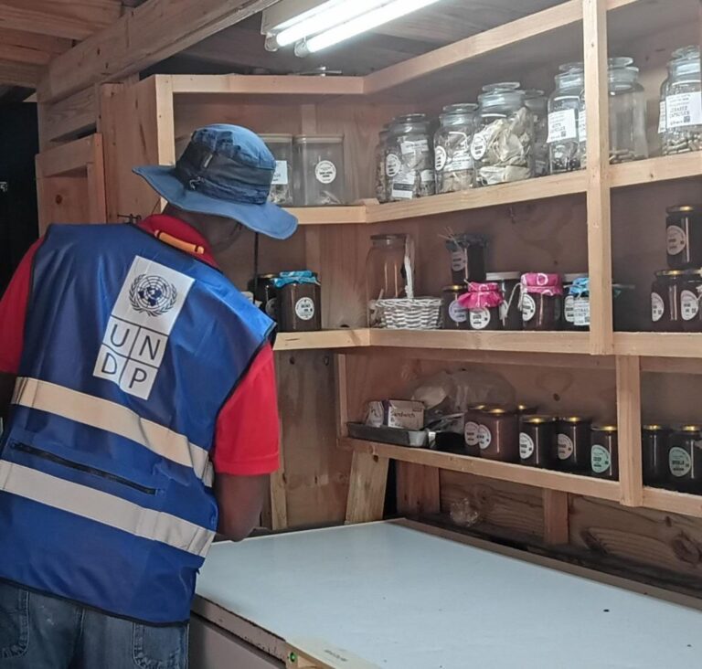 UN Resident Coordinator Explores Sustainable Agriculture at Down Too Earth Adventure Farms