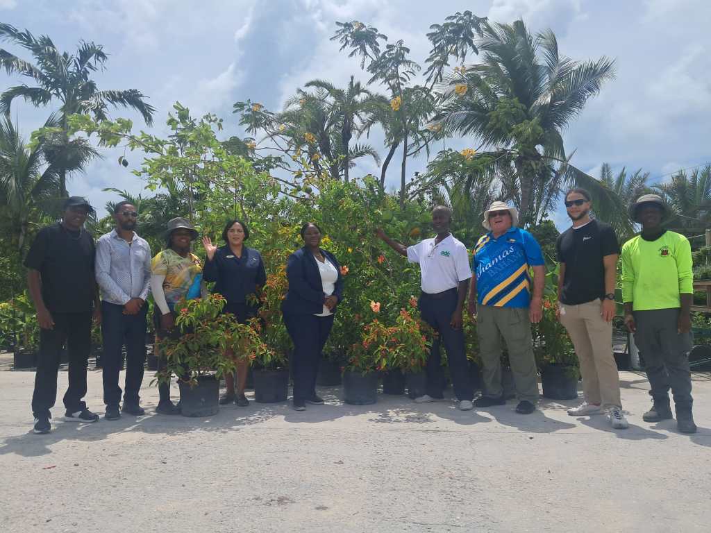 Sandals Foundation, Rocky Farms Nursery partner withAgricultural Development Organization to bring Pinewood Gardens Community Farm to Life