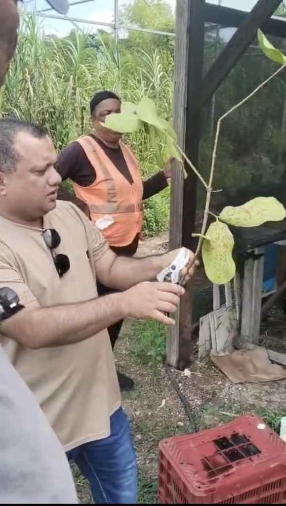 BAMSI Research Explores Medicinal Plants’ Potential forSkincare