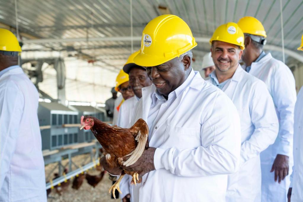 Prime Minister Drives Commitment to Cut Egg Imports as Golden Yolk Produces 200,000 Eggs